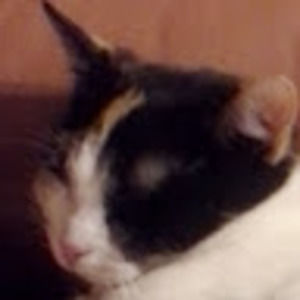 Meet your Posher, Adora